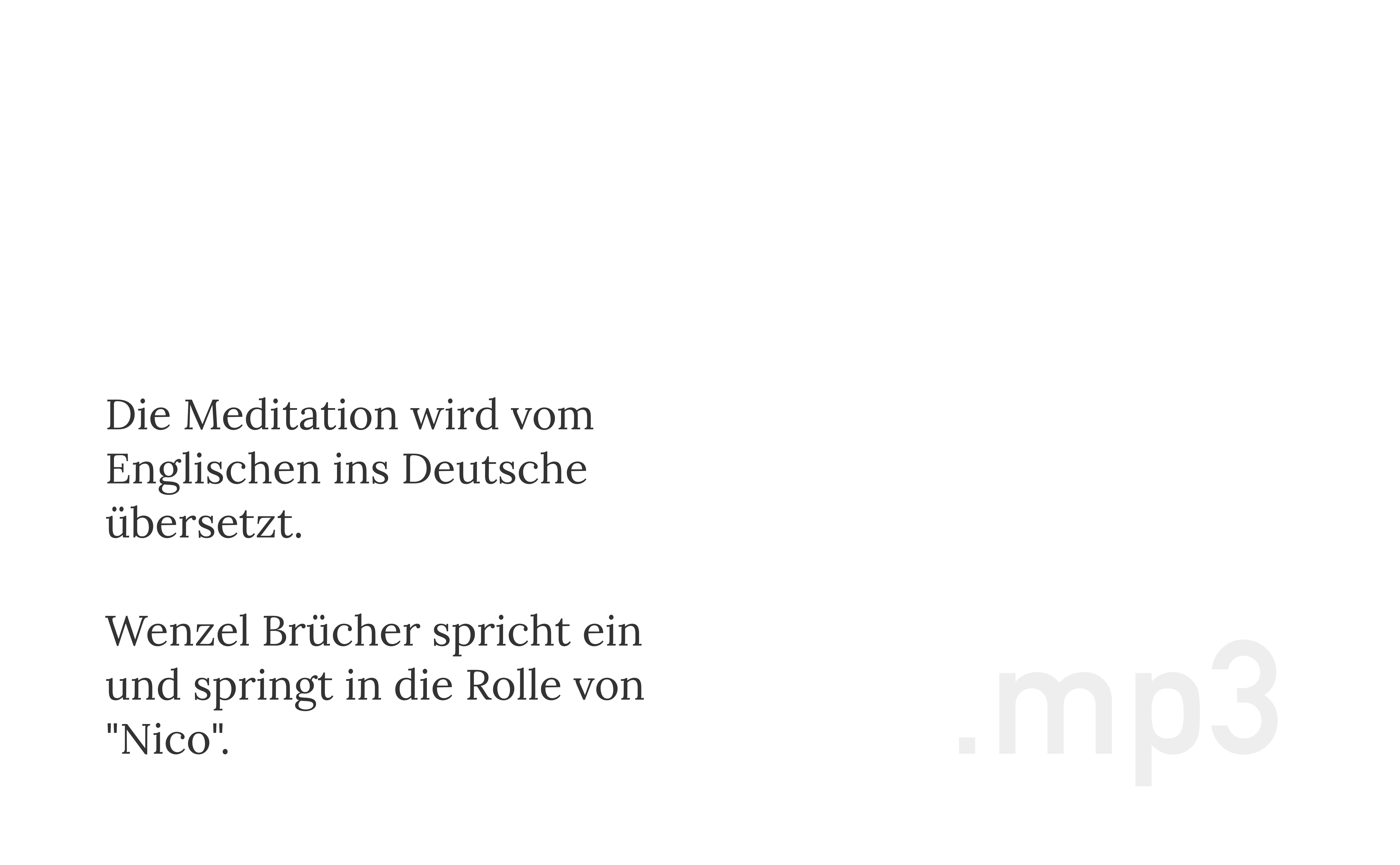 Mut zur Weißfläche - Geführte Meditation mit Wenzel Brücher (Übersetzung, Schnitt)